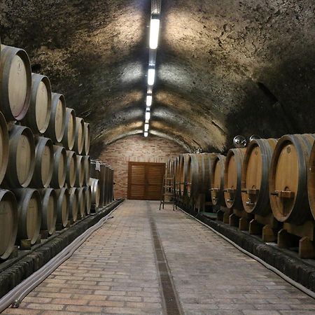 Villa Tolnay Vendeghaz 格拉克斯兹 外观 照片