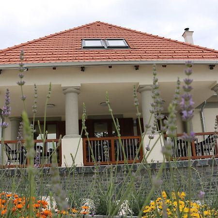 Villa Tolnay Vendeghaz 格拉克斯兹 外观 照片