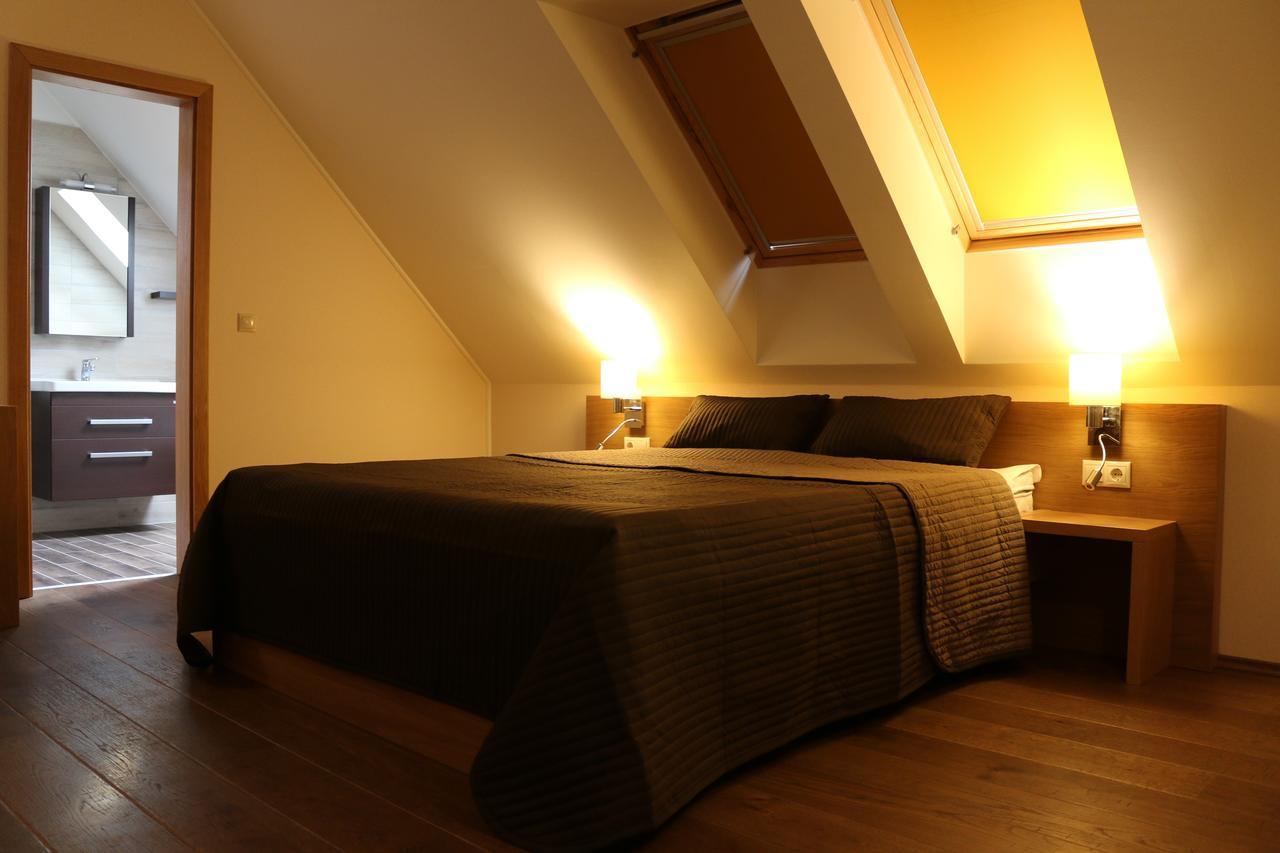 Villa Tolnay Vendeghaz 格拉克斯兹 外观 照片