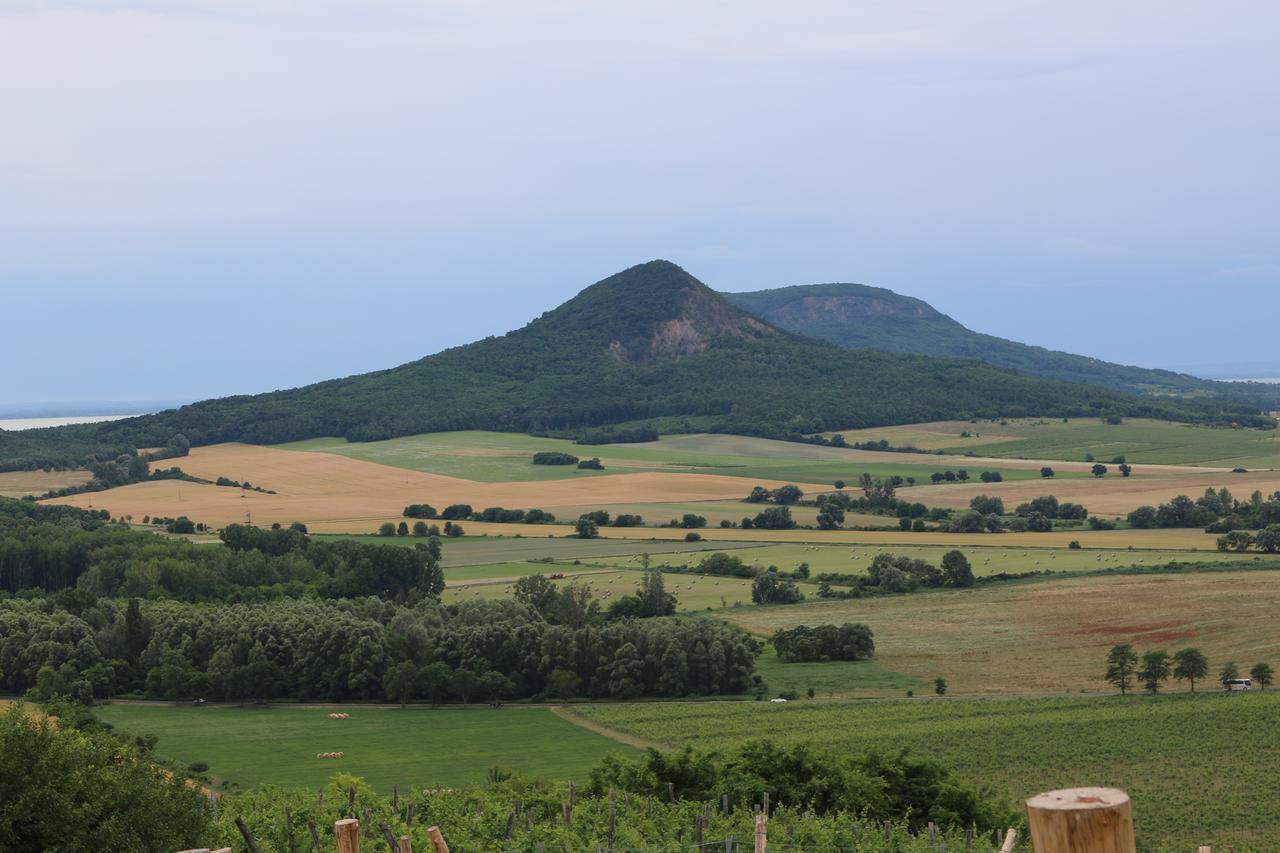 Villa Tolnay Vendeghaz 格拉克斯兹 外观 照片