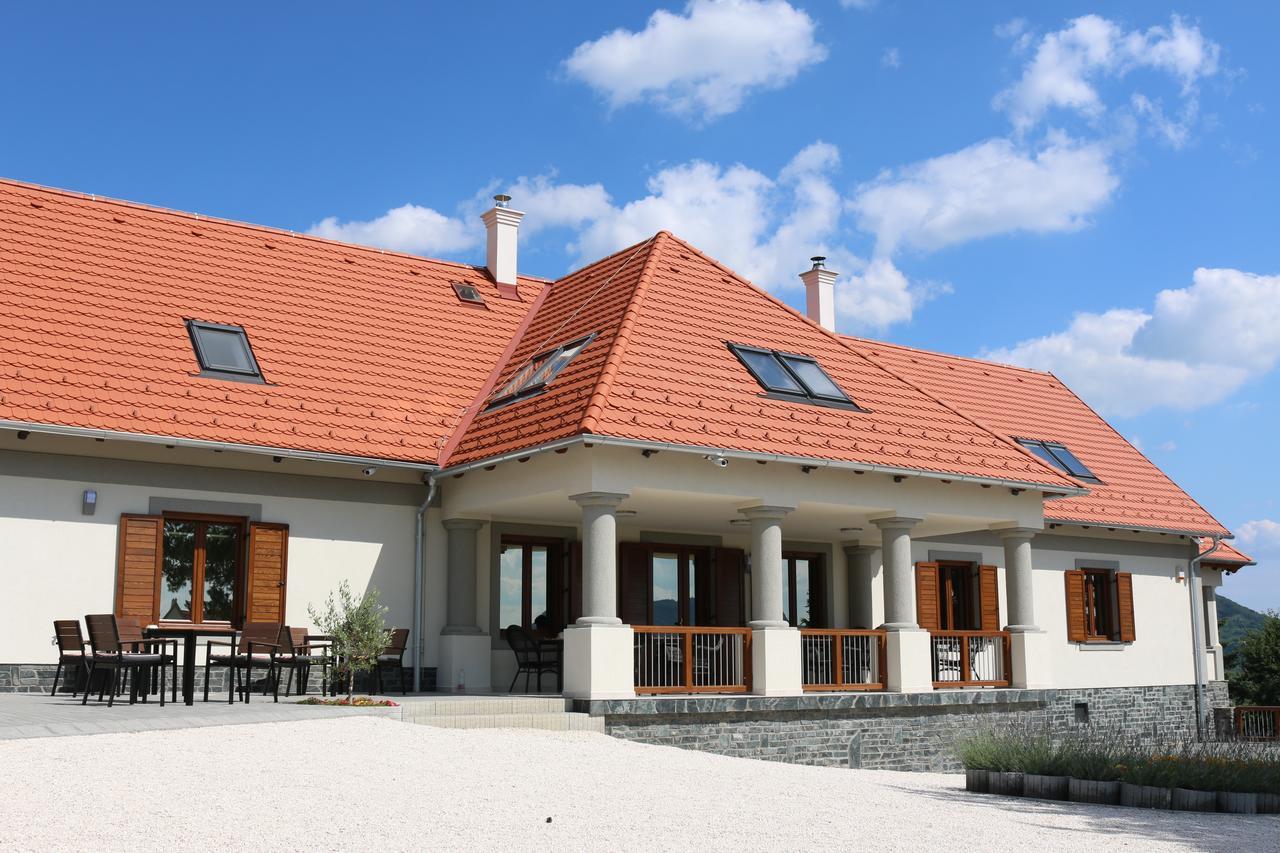 Villa Tolnay Vendeghaz 格拉克斯兹 外观 照片