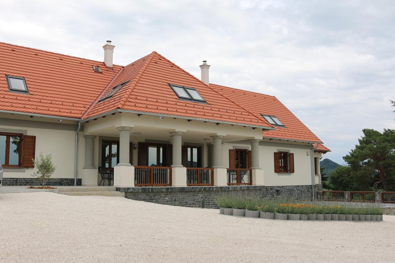 Villa Tolnay Vendeghaz 格拉克斯兹 外观 照片