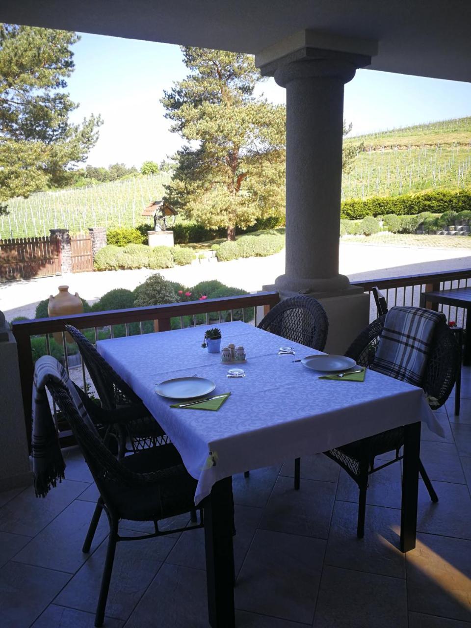 Villa Tolnay Vendeghaz 格拉克斯兹 外观 照片